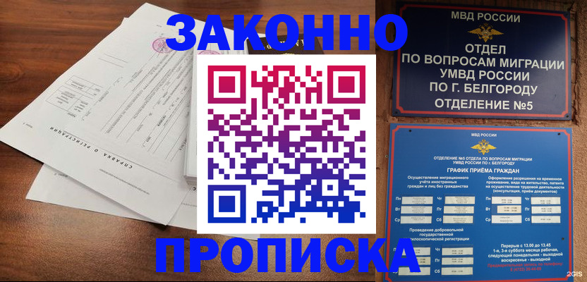 прописка в Кольчугино